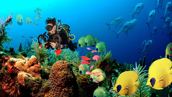 Eat well – Travel often