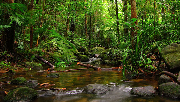 Eat well – Travel often